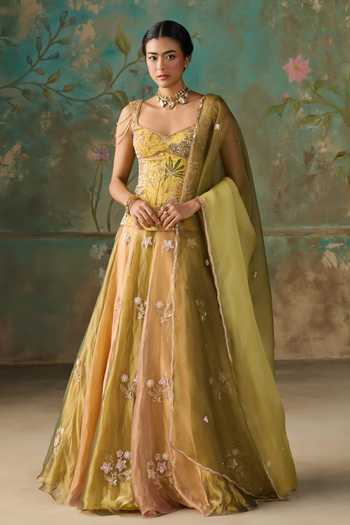 Zoon Aari Embroidered Silk Tissue Lehenga Set