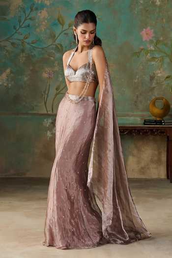 Zoon Aari Embroidered Pre-Draped Saree With Blouse