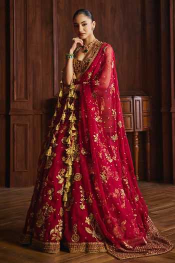 Mahima Mahajan Nooran Silk Organza Embroidered Lehenga Set 