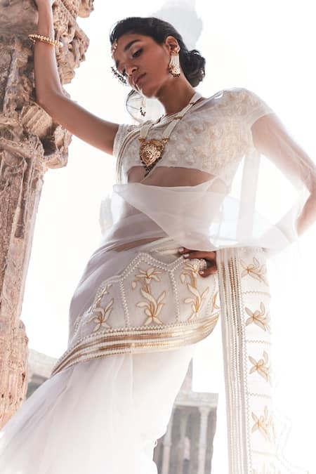 Tisha Saksena Embroidered Border Handloom Organza Saree With Blouse 