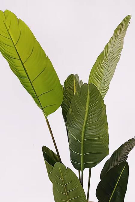 Shop Order Happiness Grey Polyresin Planter at Aza Fashions Shop_Order Happiness_Grey Polyresin Planter_at_Aza_Fashions