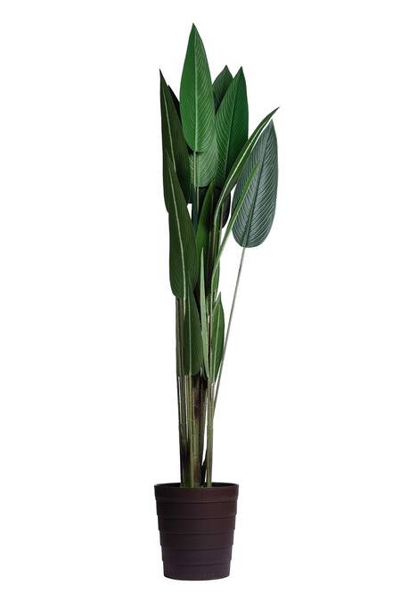 Shop H2h Green Flower Polyester Fabric And Stem Iron Wire Real Touch Artificial Plant at Aza Fashions Shop_H2h_Green Flower Polyester Fabric And Stem Iron Wire Real Touch Artificial Plant_at_Aza_Fashions