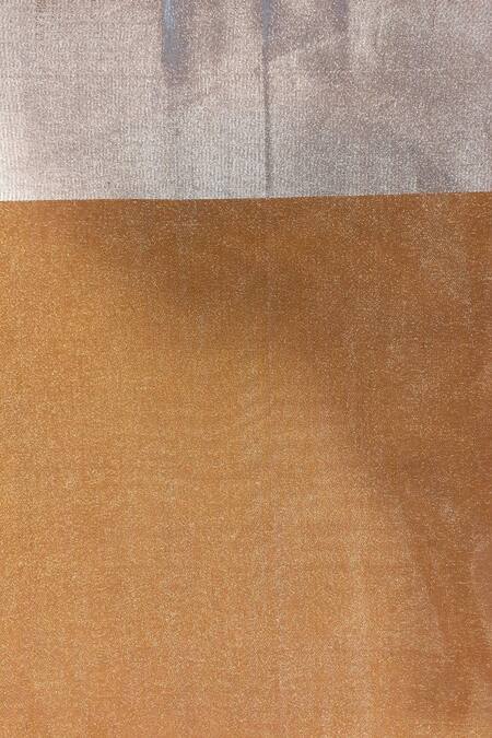 Priyanka Raajiv Gold Banarasi Silk Tissue Floral Sharmishtha Saree at Aza Fashions Priyanka Raajiv_Gold Banarasi Silk Tissue Floral Sharmishtha Saree _at_Aza_Fashions