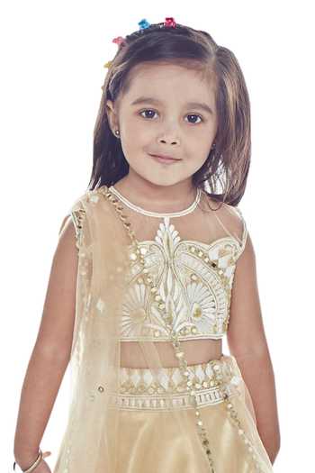 Neha Gursahani_Beige Organza, Net Mirrors, Embroidery Mirrorwork Lehenga Set _Online_at_Aza_Fashions