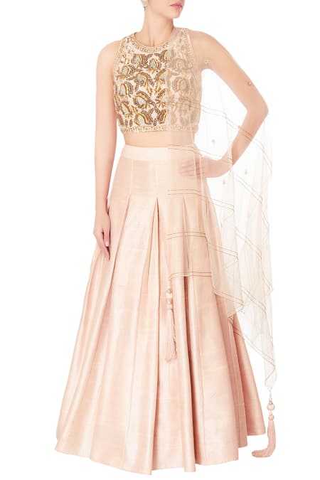 Priyanka Singh Beige embroidered lehenga set 
