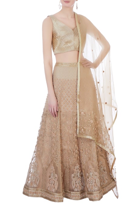 Rimzim Dadu Beige Silk, Organza And Chanderi 3d Embroidered Lehenga Set