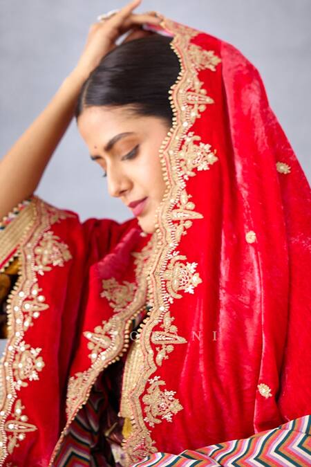 Torani_Pink Velvet And Crepe Digital Print, Gota Ruh Gulaabi Mushira Doshala_at_Aza_Fashions