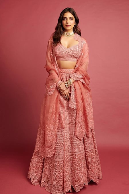 Torani Pink Handwoven Chanderi Silk Organza Lehenga