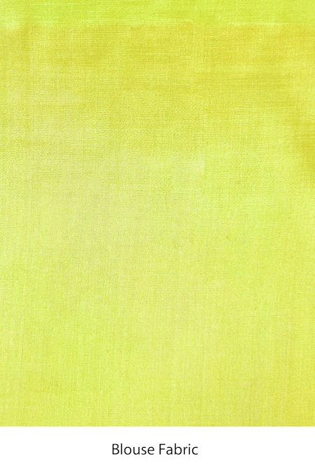 Shop Jubinav Chadha Green Bamberg Satin, Pure Silk Organza Mirror, Kantha Vihari Embroidered Saree Online at Aza Fashions Shop_Jubinav Chadha_Green Bamberg Satin, Pure Silk Organza Mirror, Kantha Vihari Embroidered Saree _Online_at_Aza_Fashions