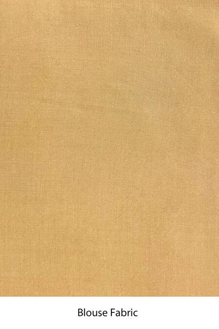 Jubinav Chadha Yellow Pure Chanderi, Organza, Bamberg Prakriti Embroidered Saree at Aza Fashions Jubinav Chadha_Yellow Pure Chanderi, Organza, Bamberg Prakriti Embroidered Saree _at_Aza_Fashions