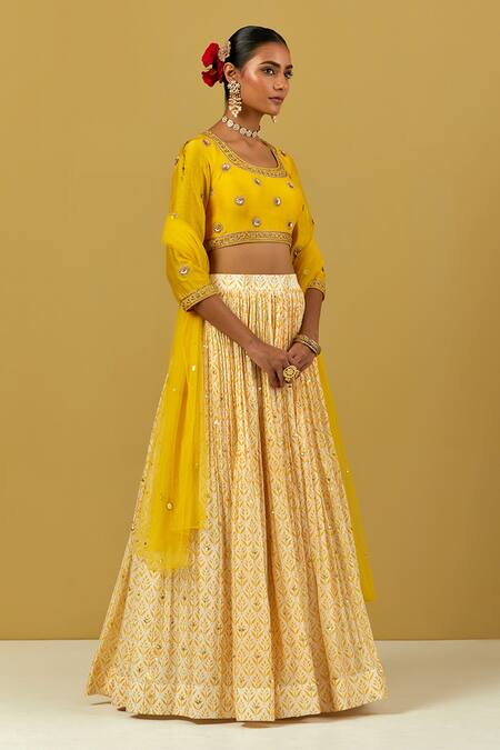 Buy_Ikshita Choudhary_Yellow Net Hand Embroidered Chita Work Dupatta_Online_at_Aza_Fashions