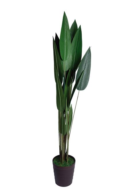 H2h Green Flower Polyester Fabric And Stem Iron Wire Real Touch Artificial Plant Online at Aza Fashions H2h_Green Flower Polyester Fabric And Stem Iron Wire Real Touch Artificial Plant_Online_at_Aza_Fashions