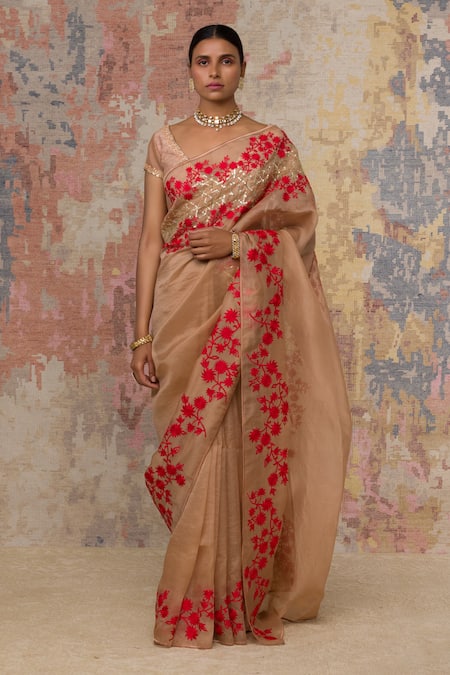 Devnaagri Silk Organza Saree with Blouse 