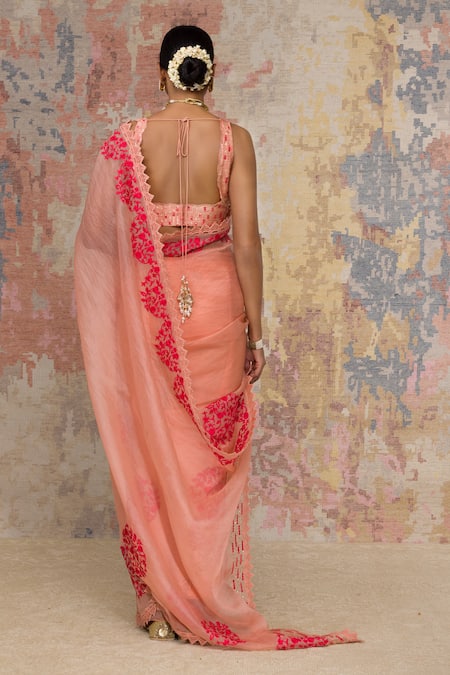 Devnaagri Embroidered Saree with Blouse 