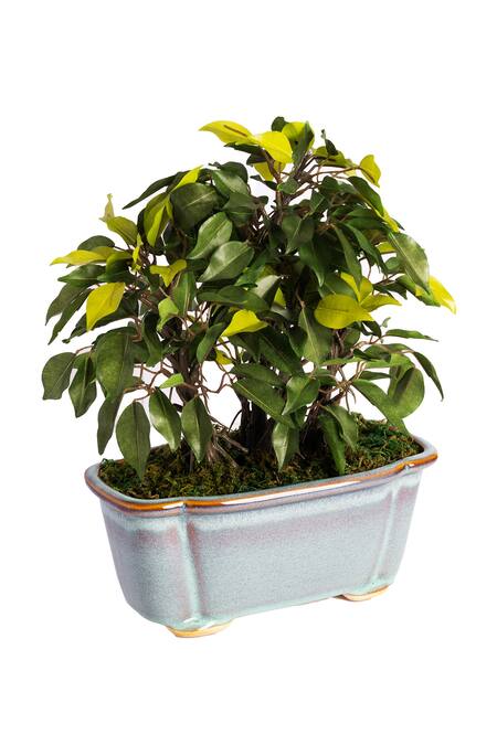 Shop H2h Green Polyester And Plastic Artificial Bonsai Plant Online at Aza Fashions Shop_H2h_Green Polyester And Plastic Artificial Bonsai Plant_Online_at_Aza_Fashions