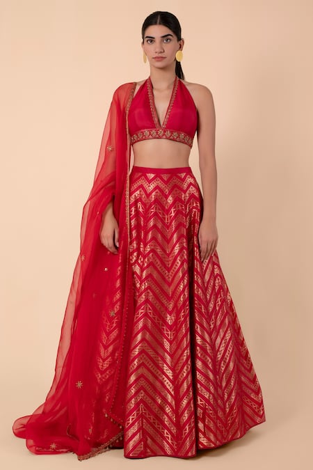 Ekaya Red Handwoven Silk Lehenga Set