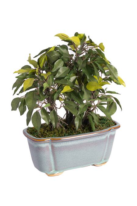 H2h Green Polyester And Plastic Artificial Bonsai Plant at Aza Fashions H2h_Green Polyester And Plastic Artificial Bonsai Plant_at_Aza_Fashions