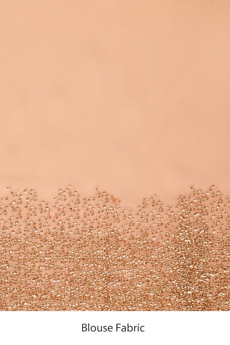 Buy_Two Sisters By Gyans_Peach Georgette Sequins Border Embroidered Saree With Unstitched Blouse Fabric _Online_at_Aza_Fashions