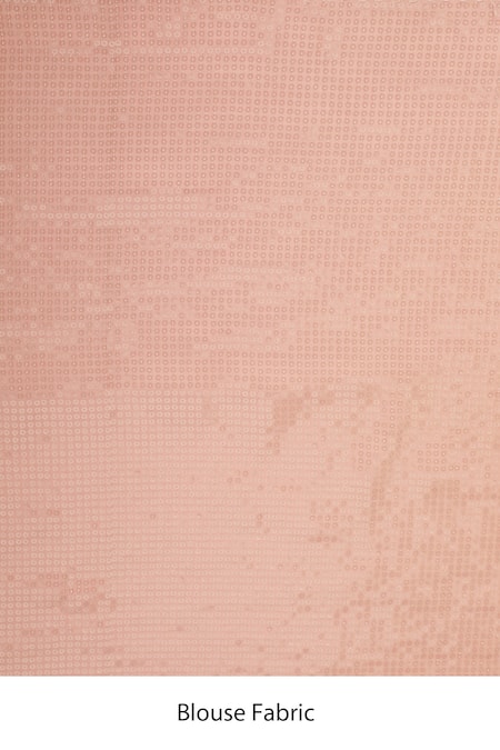 Buy Two Sisters By Gyans Pink Georgette Sequins Rosette Embroidered Saree With Unstitched Blouse Fabric Online at Aza Fashions Buy_Two Sisters By Gyans_Pink Georgette Sequins Rosette Embroidered Saree With Unstitched Blouse Fabric _Online_at_Aza_Fashions