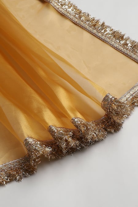 Shop_Byb Premium_Ivory Organza, Cotton Sequins, Lace Embroidered Placket Kurta Sharara Set _Online_at_Aza_Fashions