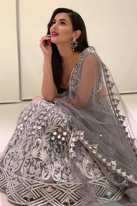 Reeti Arneja Steel Grey Embroided Net Lehenga And Shantoon Blouse.