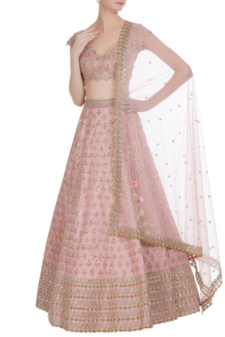 Anushree Reddy Pink Embroidered Lehenga Set