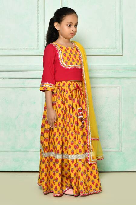 Banana Bee_Pink Cotton And Net & Embroidery Floral & Gota Patti Lehenga Set_Online_at_Aza_Fashions