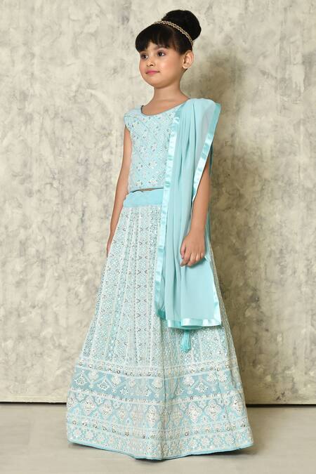 Shop_Banana Bee_Sky Blue Heavy Faux Georgette Embroidered Lucknowi Chikan Lehenga Set_Online_at_Aza_Fashions