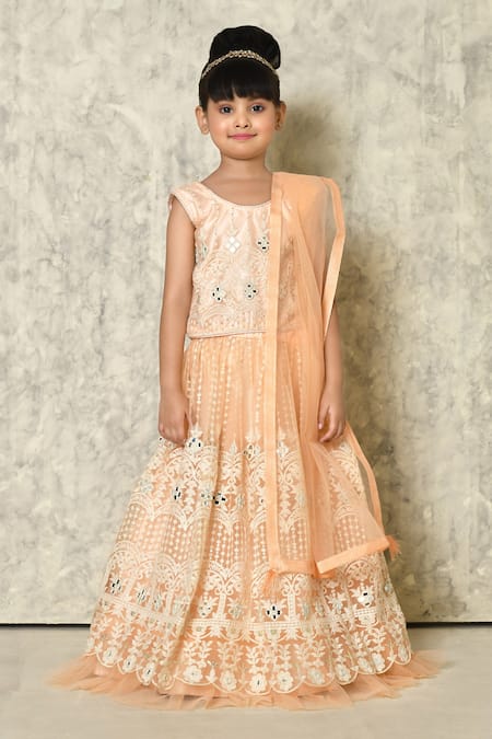 Buy_Petite Pomme_Peach Net Embroidery, Mirrors Work Embellished Lehenga Set_Online_at_Aza_Fashions