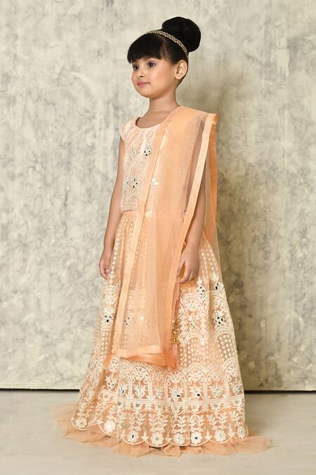 Shop_Petite Pomme_Peach Net Embroidery, Mirrors Work Embellished Lehenga Set_Online_at_Aza_Fashions