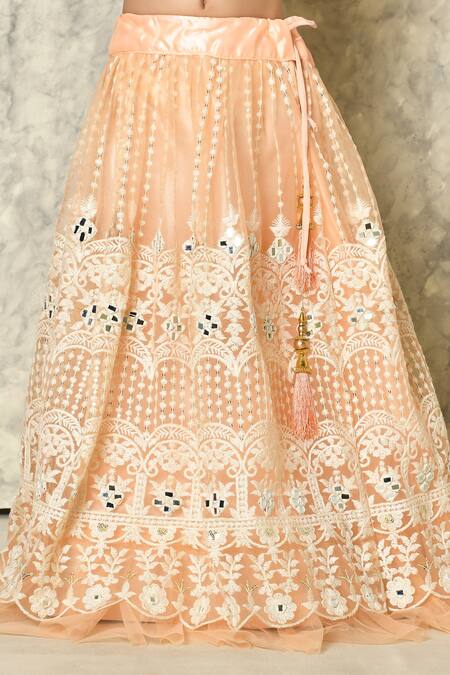 Petite Pomme_Peach Net Embroidery, Mirrors Work Embellished Lehenga Set_at_Aza_Fashions
