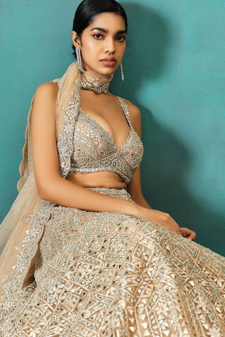 Aneesh Agarwaal_Beige Net, Silk Mirrors, Diamonds, Triangle Applique Work Bridal Lehenga Set _Online_at_Aza_Fashions