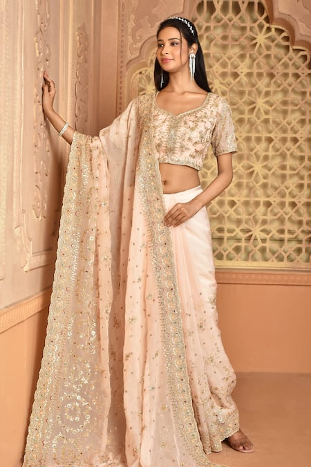 Kalighata_Peach Organza Sequins, Cut Work, Embroidery Boat Akshara Saree With Blouse _Online_at_Aza_Fashions