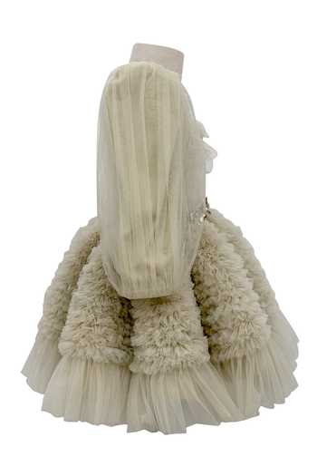 Buy_Jasmine And Alaia_Beige Tulle Embellishments Floral Ariel Dress_Online_at_Aza_Fashions