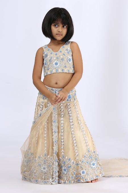 Neha Gursahani_Beige Tulle Embroidery Floral Lehenga Set _Online_at_Aza_Fashions