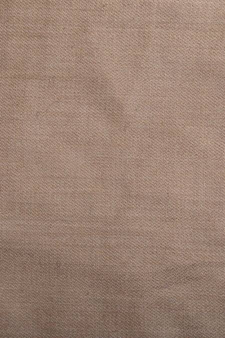 Shop_Shingora_Beige Fringe Border Plain Shawl_Online_at_Aza_Fashions