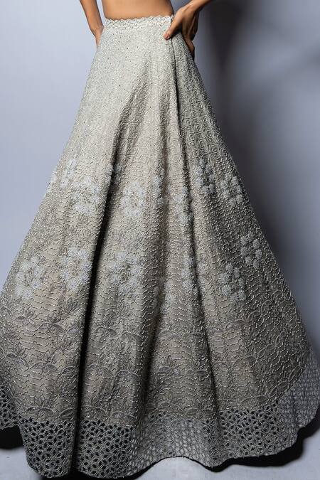 Disha Patil_Grey Raw Silk Hand Embroidery Flower Vine Lehenga With Corset Blouse  _Online_at_Aza_Fashions
