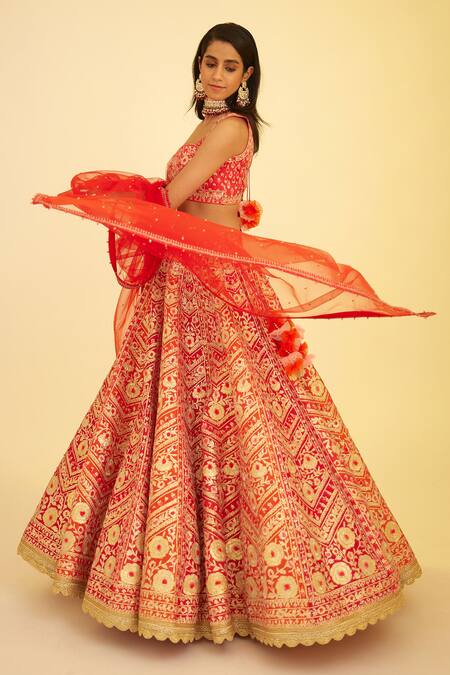 Shop_Shyam Narayan Prasad_Red Silk, Organza Lace, Embroidery, Panelled Bridal Lehenga Set With Sleeves 