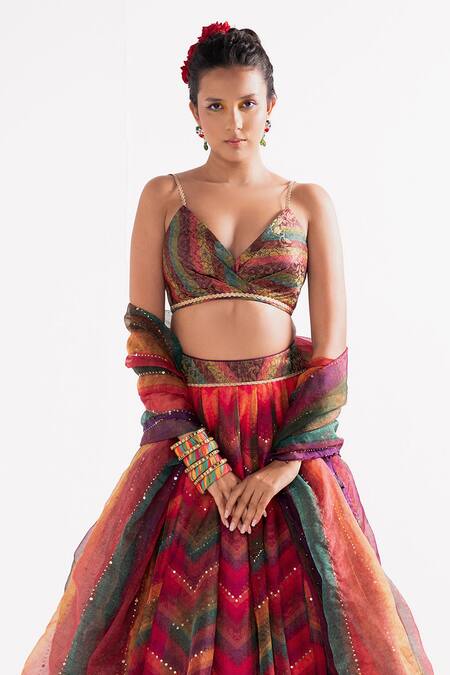 Shop_Cedar & Pine_Multi Color Organza, Brocade Mirrors Plunge Bohemian Chevron Print Lehenga Set _Online_at_Aza_Fashions