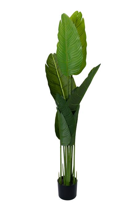 H2h_Green Polyester And Plastic Artificial Banana Plant_Online_at_Aza_Fashions