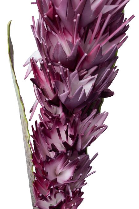 Buy_H2h_Pink Foam Flowers Dry Portea Artificial - Set Of 2 _Online_at_Aza_Fashions