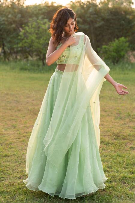 Zoon_Green Net, Silk Organza Cluster Embroidered Lehenga Set With Embellished Blouse _Online_at_Aza_Fashions