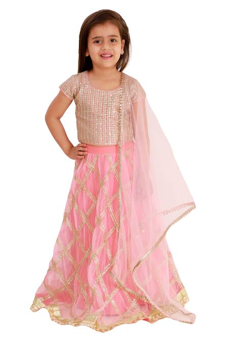 Bloomers By Amrita M_Pink Organza, Net Embroidery Lehenga Set _Online_at_Aza_Fashions