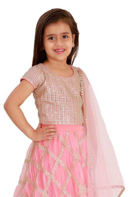 Buy_Bloomers By Amrita M_Pink Organza, Net Embroidery Lehenga Set _Online_at_Aza_Fashions