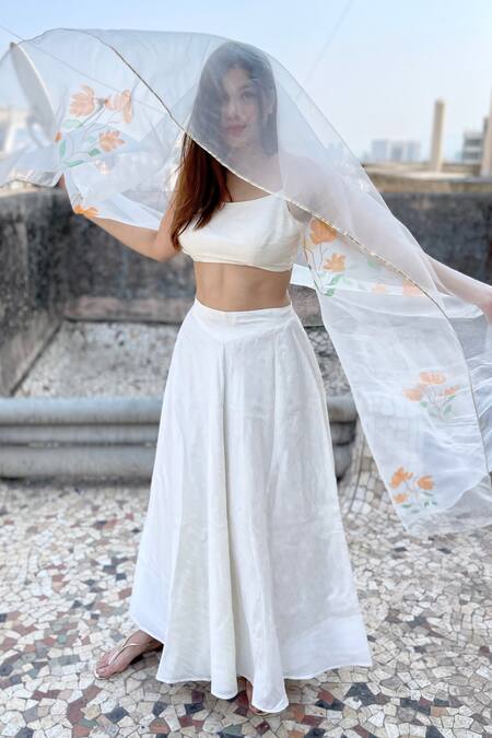 Shop_Anaya By Akruthi_White Swiz Organza Hand Painted Dupatta_Online_at_Aza_Fashions