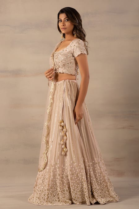 Anupraas By Nishant And Rahul_Beige Net, Georgette, Bamberg Silk Scoop Neck Embroidered Lehenga Set _Online_at_Aza_Fashions