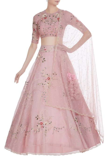 Anushree Reddy Pink Embroidered Lehenga Set