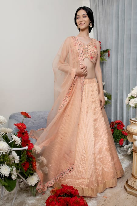 Asha Gautam Banarasi Organza Lehenga Set 