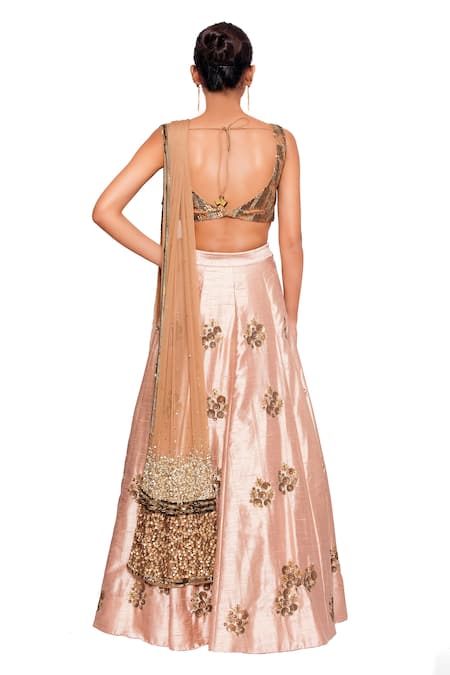 Shop Salt And Spring Pink Net, Dupion Cutdana, Sequins Scoop Neck Floral Embroidered Lehenga Set at Aza Fashions Shop_Salt And Spring_Pink Net, Dupion Cutdana, Sequins Scoop Neck Floral Embroidered Lehenga Set _at_Aza_Fashions
