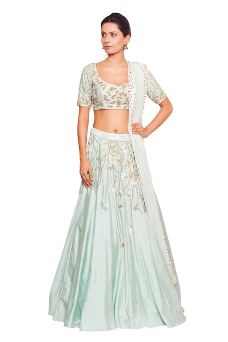 Salt And Spring Green Net, Chanderi, Rayon Sequins Scoop Neck Floral Embroidered Lehenga Set 
